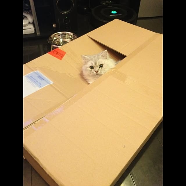 horurunさんの実例写真
