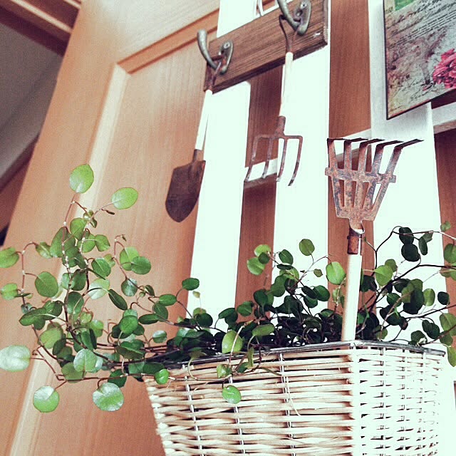 mayuringoさんの実例写真