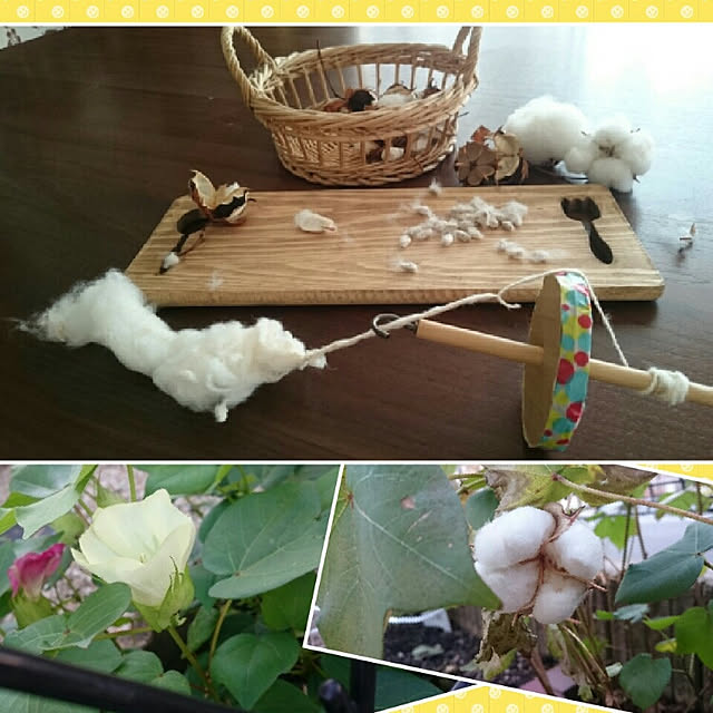 puthi.raion0719さんの実例写真