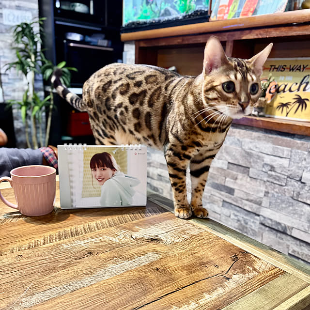 tututu0204さんの実例写真