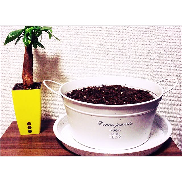 9198_eさんの実例写真