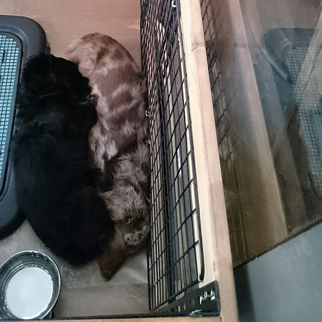 tikuwaさんの実例写真