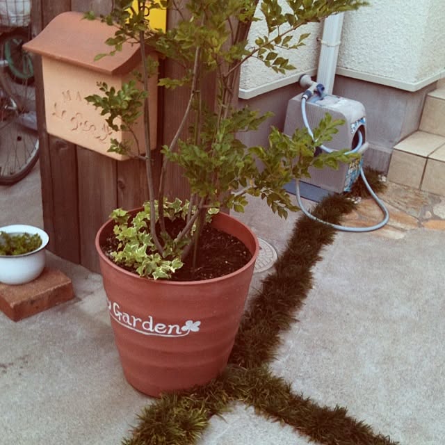 kassyyomeさんの実例写真