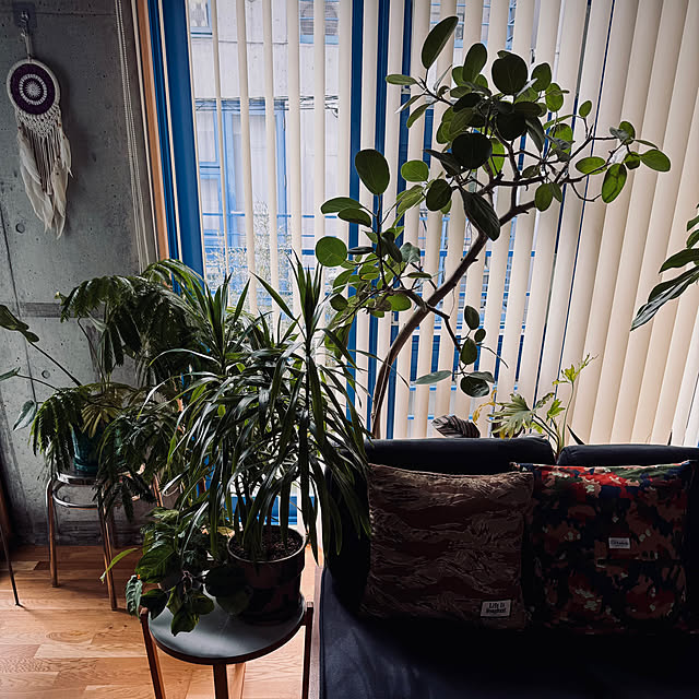 Youkiさんの部屋