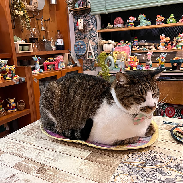 jijiさんの実例写真