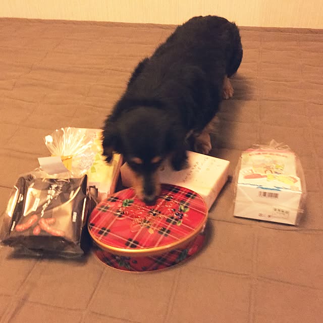 ohanaさんの実例写真