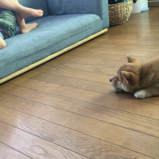 luckyさんの実例写真