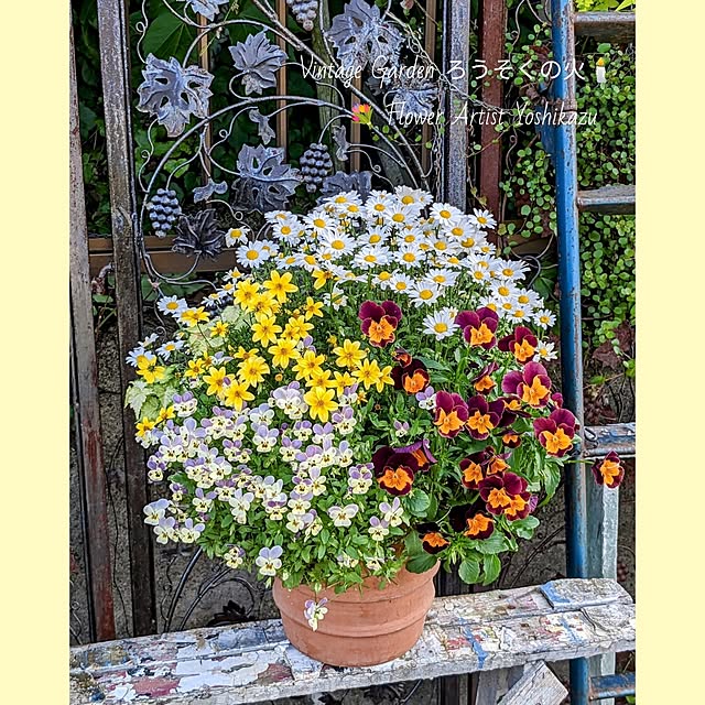 ElegantiqueFlowerさんの部屋