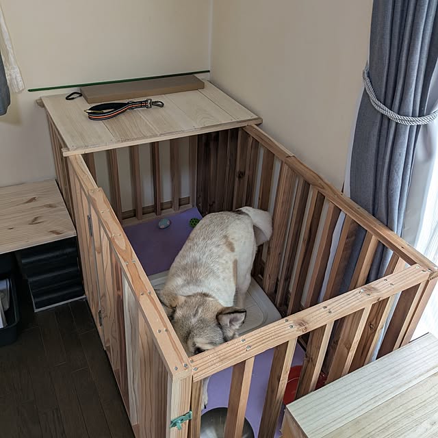 asaさんの実例写真