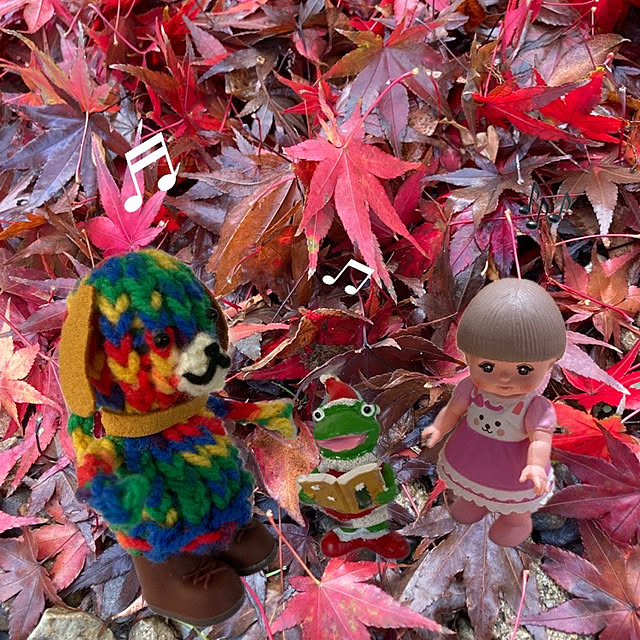 manduonmaさんの実例写真