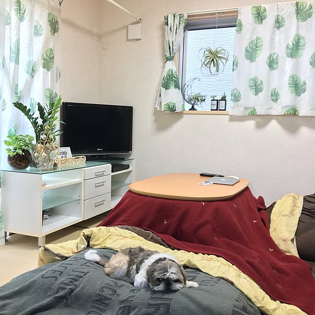 ANNAさんの実例写真