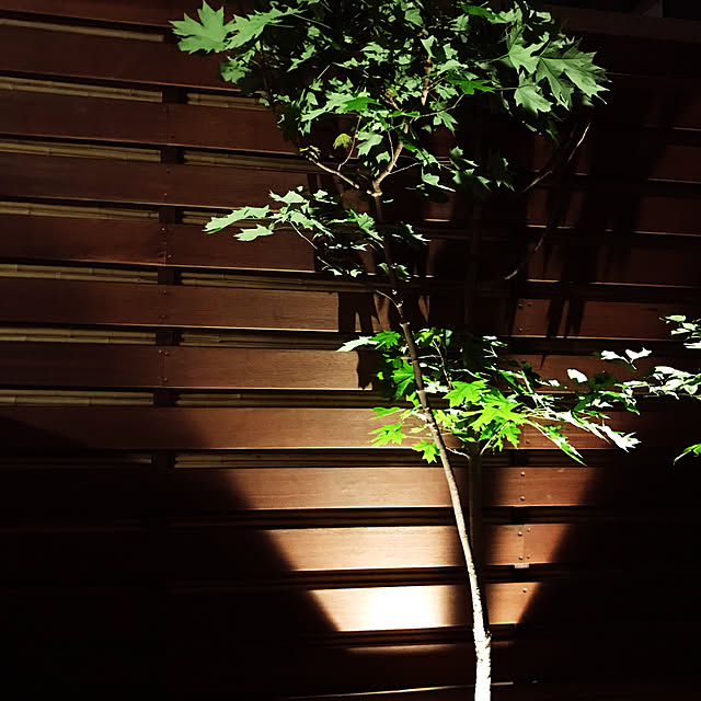 kayokos0801さんの実例写真