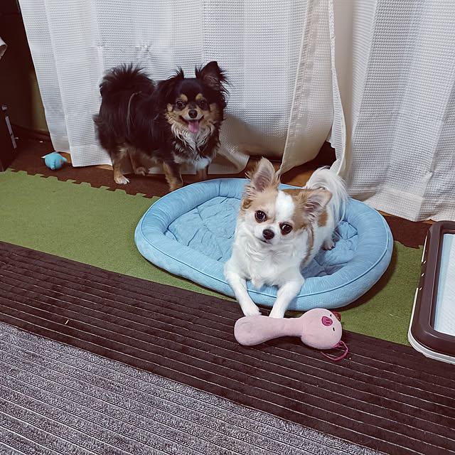 hiro-yさんの実例写真