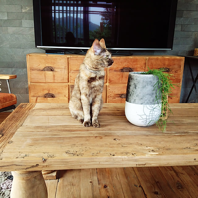 maison.de.brocanteさんの実例写真