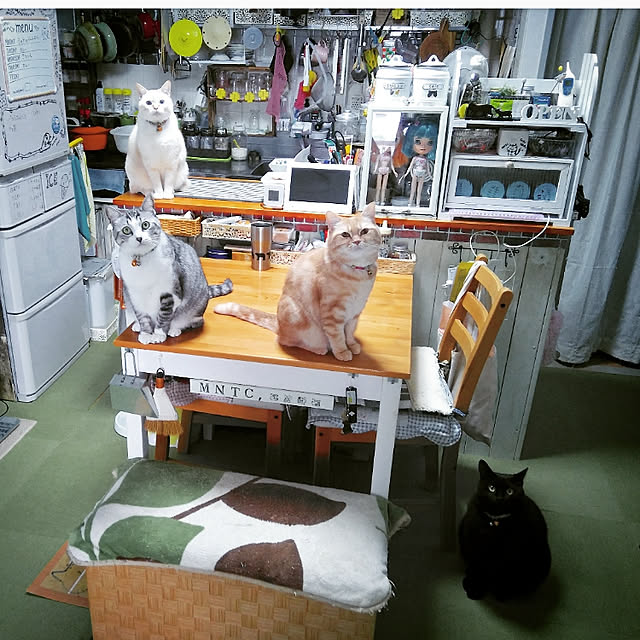 mntcさんの実例写真