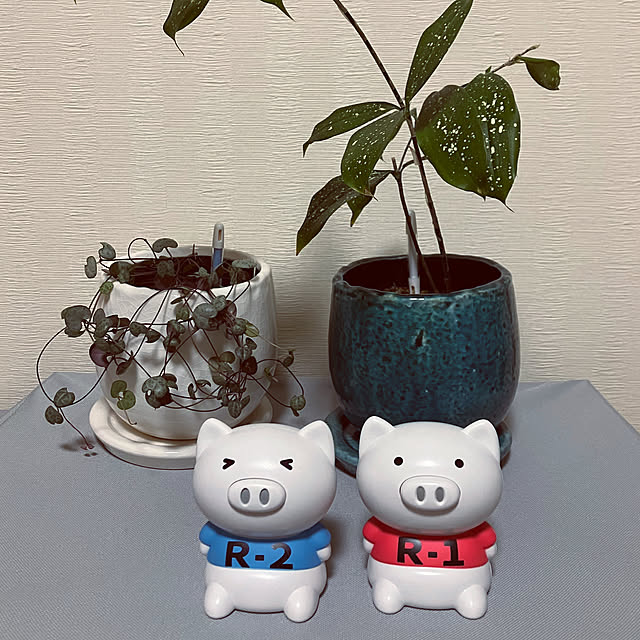 katuさんの実例写真