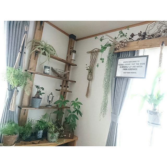 SACHIさんの実例写真