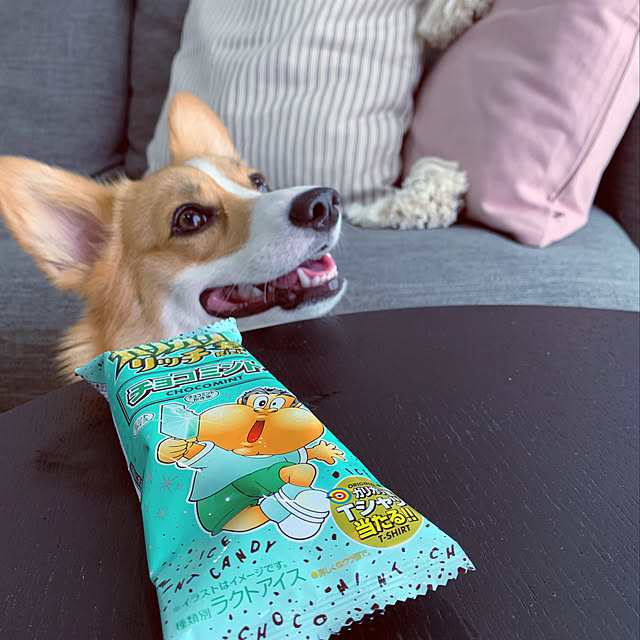 3ayuさんの実例写真