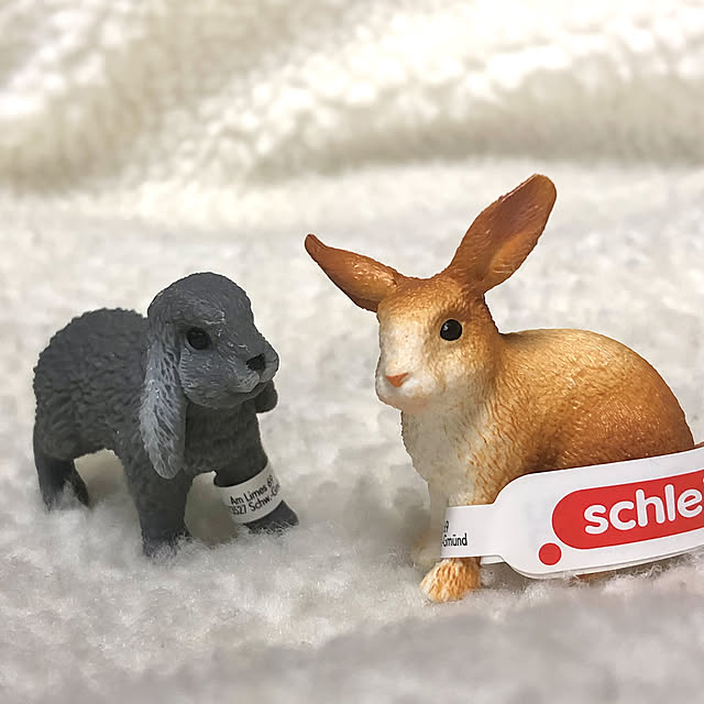KirinPandaさんの実例写真