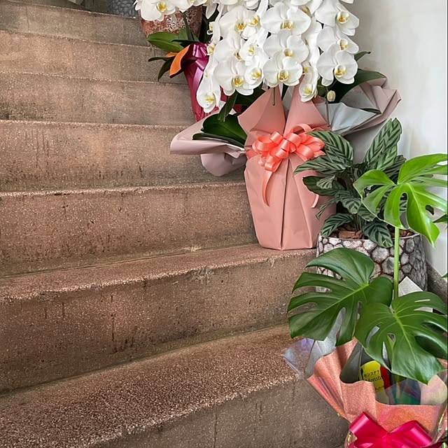 maki0828さんの実例写真