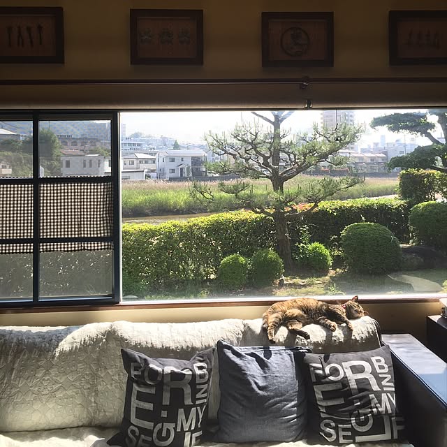 実例写真