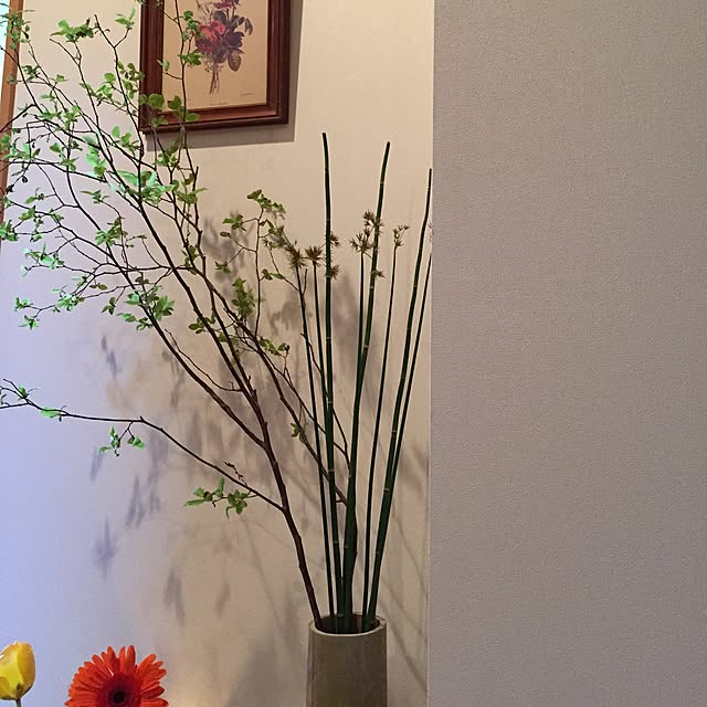 tsuyopipさんの実例写真