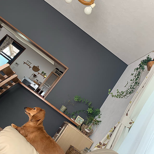 noriさんの実例写真