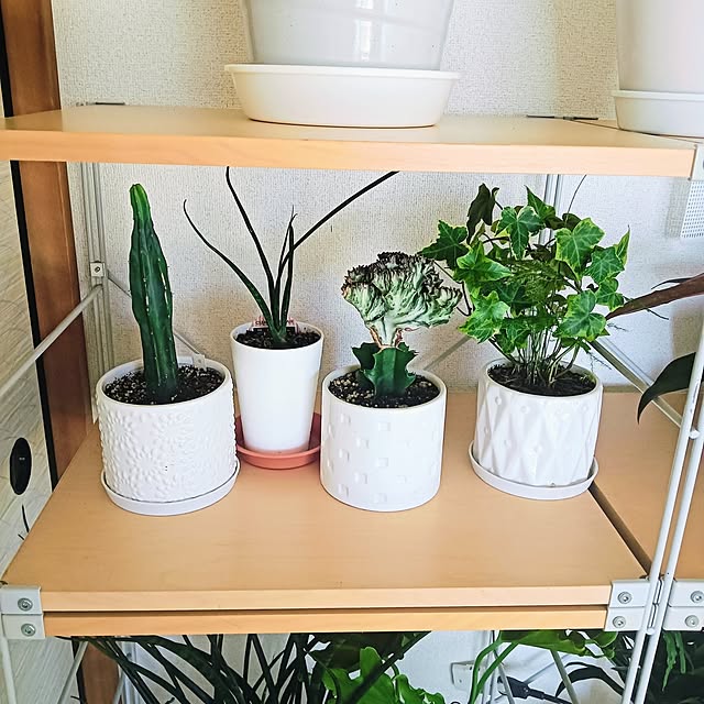 hanachanさんの部屋