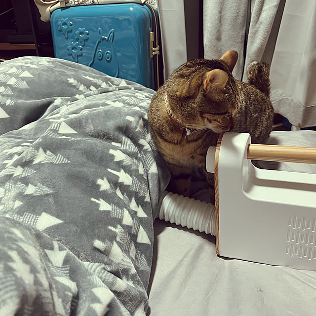 RUNRUNさんの実例写真