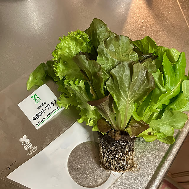 ikubooさんの部屋