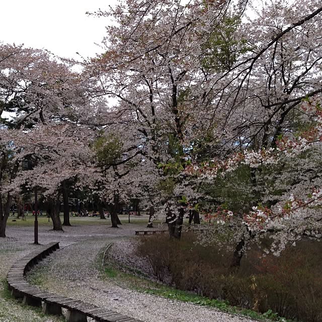 hotamaroさんの実例写真