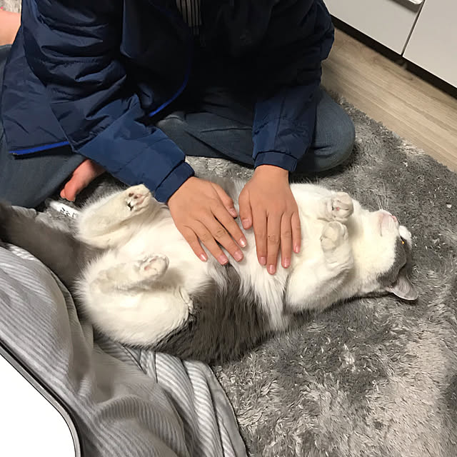 noikoさんの実例写真