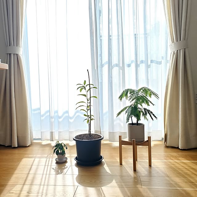 tokkiさんの実例写真