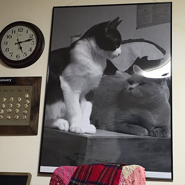 実例写真
