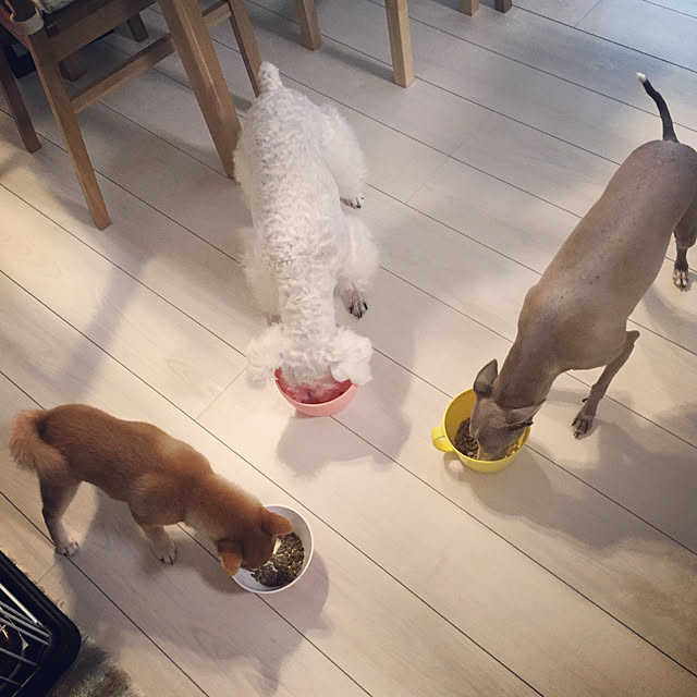 suzyさんの実例写真