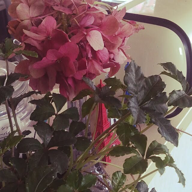 pinkさんの実例写真