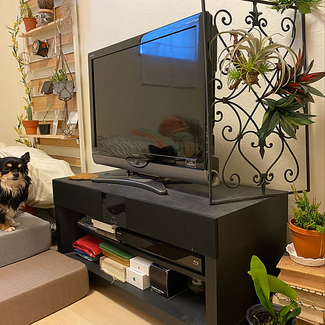 y.yoshimi4437さんの実例写真