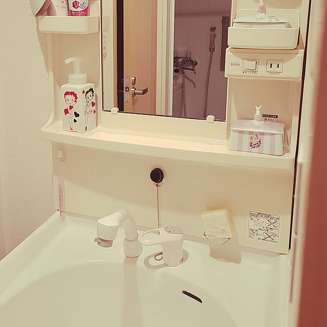 rviさんの実例写真