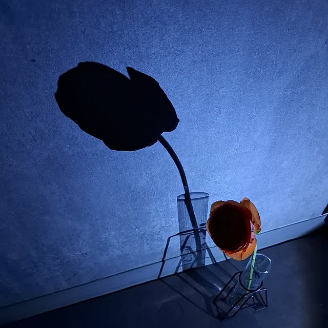 noaさんの部屋