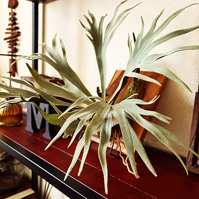 rintarotantan7さんの部屋