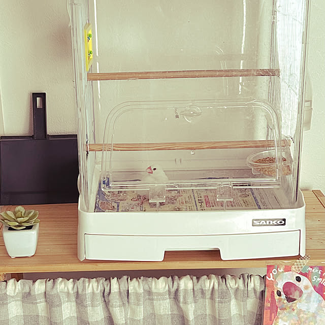 yukimidaifukuさんの部屋
