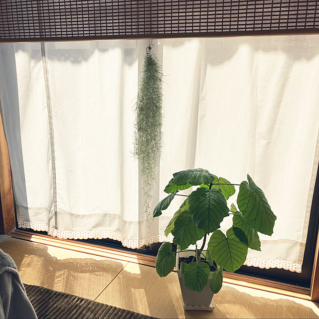 leafさんの実例写真