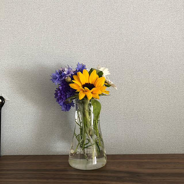 kuu511さんの実例写真