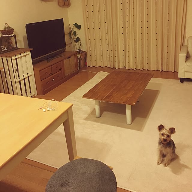 mayuoさんの実例写真