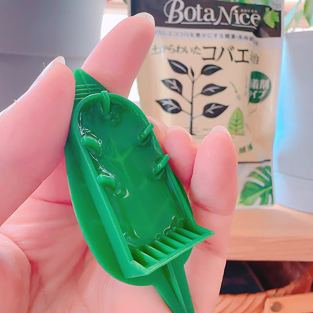 macaさんの部屋