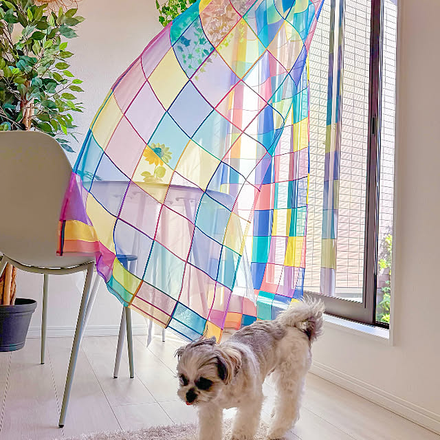 perfectspaceさんの実例写真