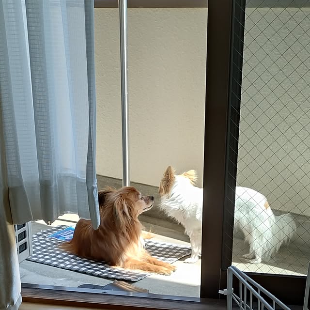 toratanさんの部屋