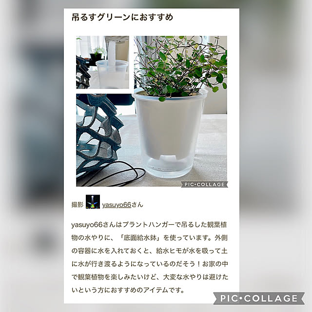 yasuyo66さんの実例写真