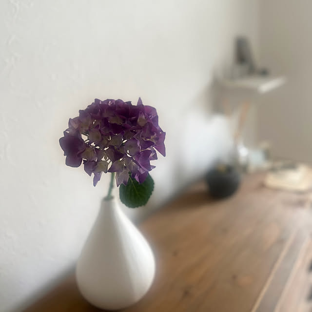 rookuさんの部屋
