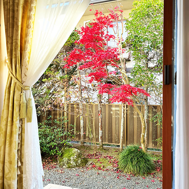 Worldofwonderさんの実例写真